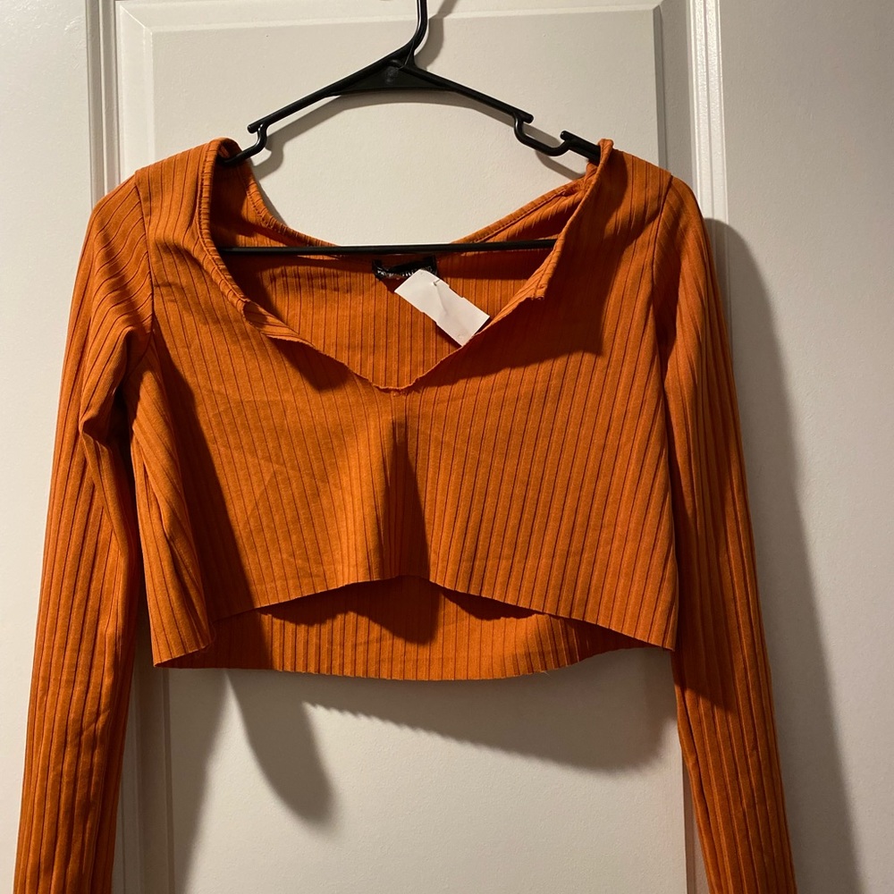 cropped rust long sleeve crop top